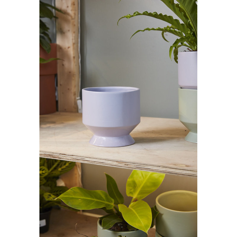 Lael Pot 6.25"x 6"