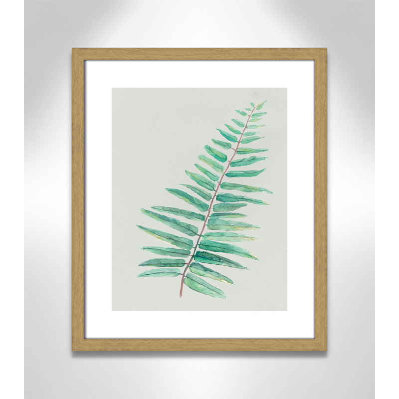 «Delicate Botanical I», reproduction sur papier encadrée, Cadre grain de bois naturel, H 19 po x l 16 po x P 0,75 po