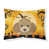 Caniche brun chocolat