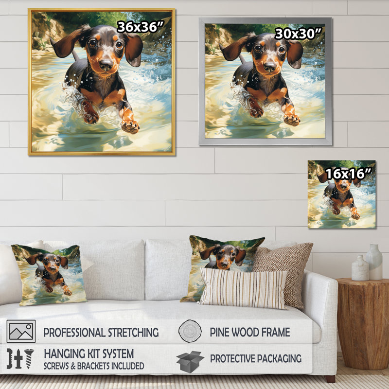 Mignon teckel jouant dans la rivière sur toile, H 30 po x l 30 po, Cadre flottant doré