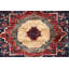 Aryana Hand Woven Wool Oriental Area Rug