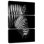 Brampt Zebra Side View