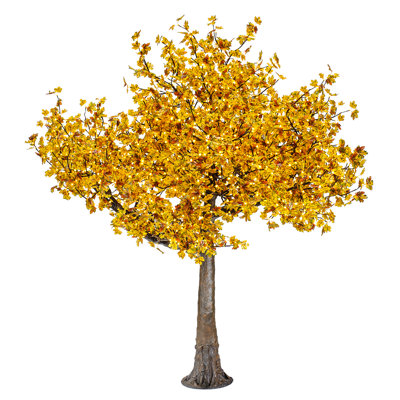 Érable, feuilles rouges, arbres éclairés et branches