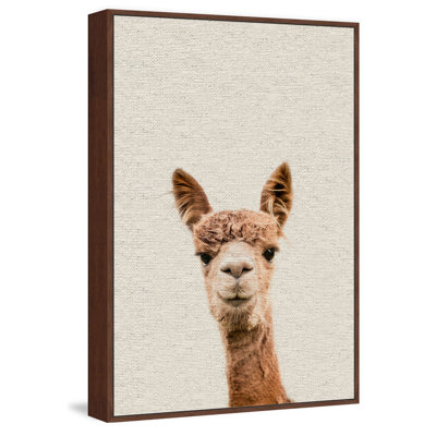 Llama Face VI 1 Piece Floater Frame Wall Art on Canvas