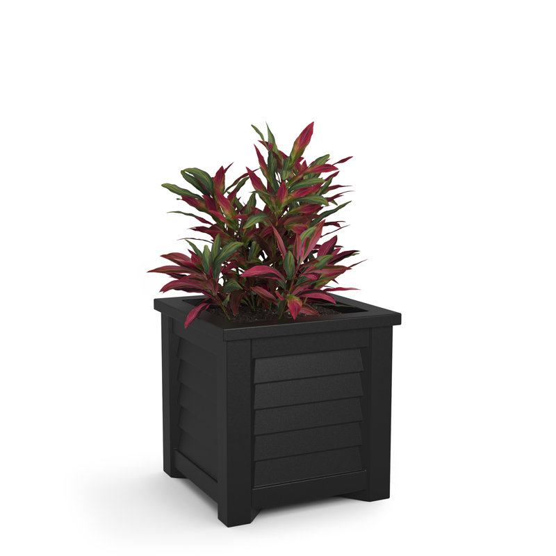 Lakeland Square Resin Planter with Water Reservoir, 16" H x 16" W x 16" D, Black