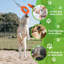 Wow Play - Dog Flirt Pole