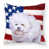 Bichon frisé 1