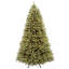 7.5 Ft. Downswept Douglas® Fir Tree With Dual Color® Led Lights