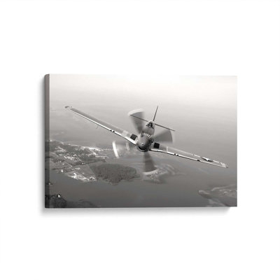 Silent Wings Print on Canvas