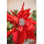 POINSETTIA Lighted Mixed Assortment 66 cm Artificial Wreath