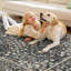 Tapis 5 pi x 7 po Boho-759766311-759766312