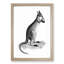 Kangaroo by George Shaw - Picture Frame Graphic Art Print-55609517-55609519