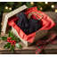 Arcadia Home Cocker Spaniel Hand-Knit Ornament