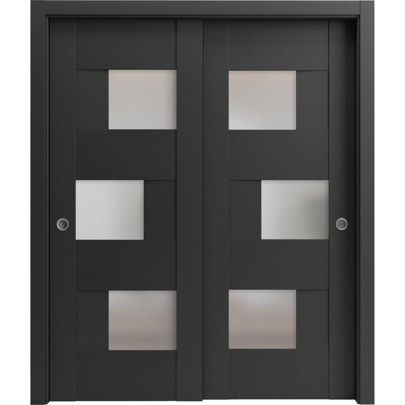 Portes coulissantes en verre givré Sete, Noir, 48 po x 80 po