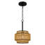 Mini-luminaire suspendu noir mat 1 lumière Teton