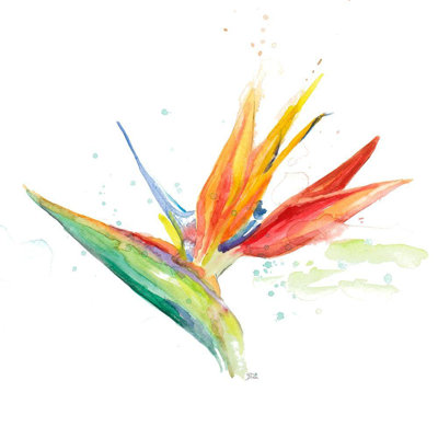 «Red Barrel Studio® Pinto, Patricia», reproduction d'art sur toile tendue: Bird of Paradise III