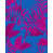 Magenta/Blue