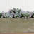 Succulent Garden with Textured Concrete Planter