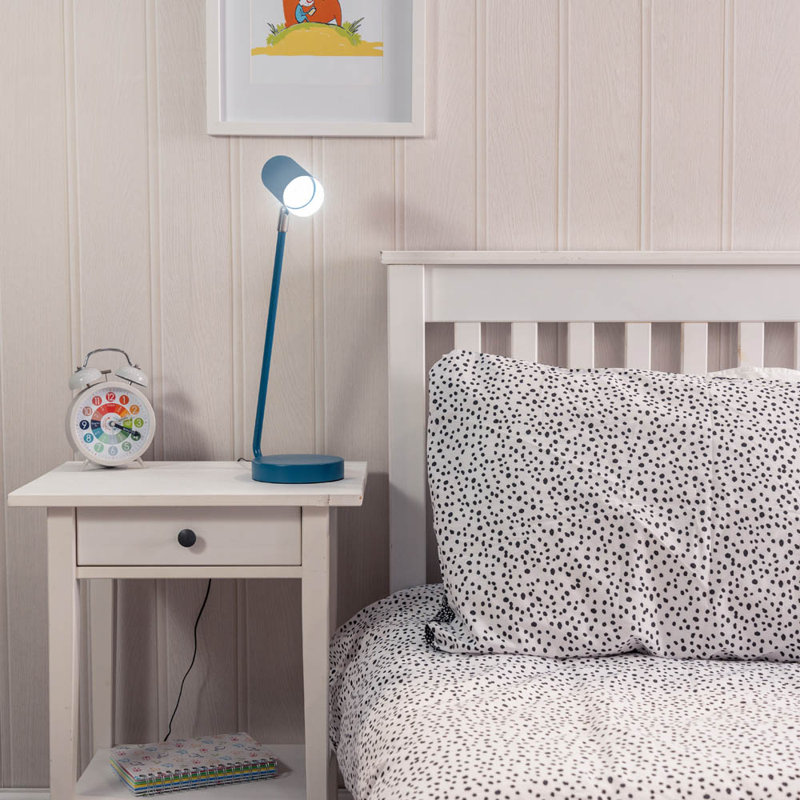 Yareli Metal Desk Lamp