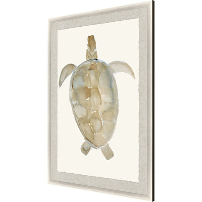 Neutral Turtle I