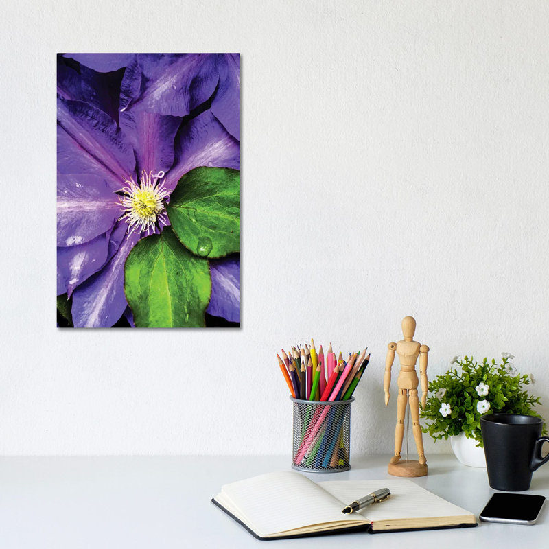 Clematis Spring by Heidi Bannon - Wrapped Canvas Print, 30.48cm H x 20.32cm W x 1.905cm D