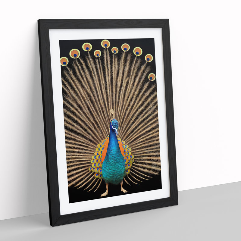 Feathers Of A Peacock - Single Picture Frame Print, Black, 64cm H x 46cm W x 2cm D