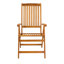 Annekatrin Foldable Outdoor Patio Dining Armchair