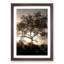 Leopard Siesta - Picture Frame Painting Print-55582644-55582647