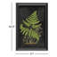 Fern Botanical