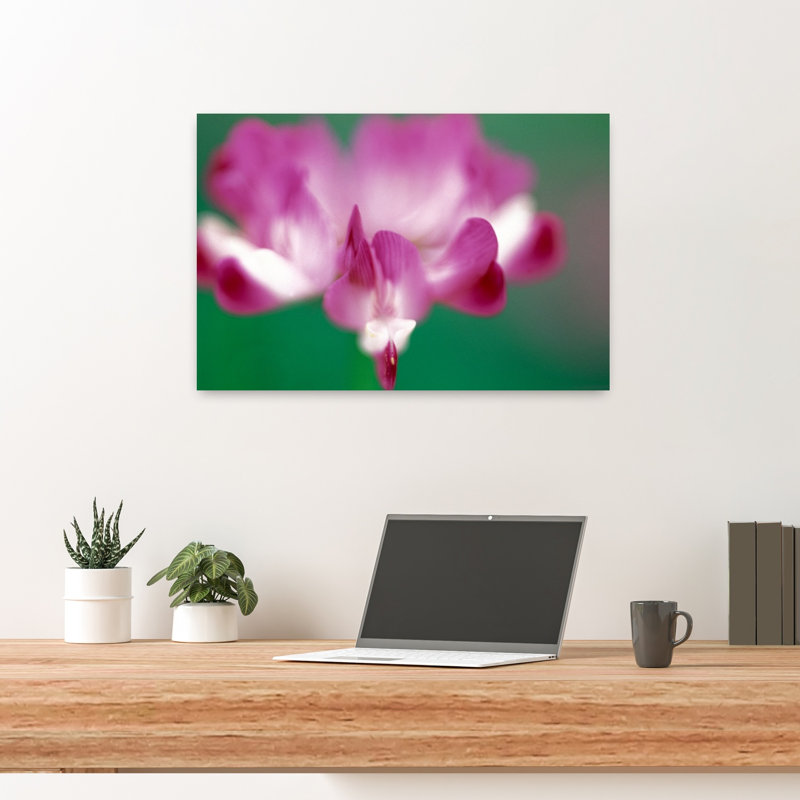 Photographie murale en gros plan d'une fleur rose contemporaine, H 16 po x l 24 po
