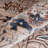 Oriental Indoor Rug-1091789722
