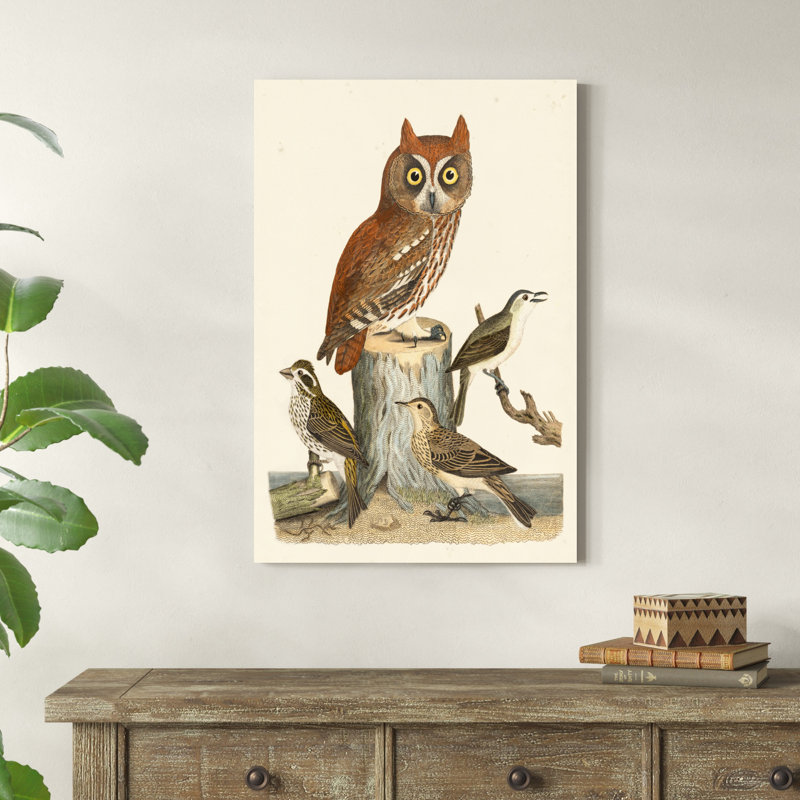Wilson Owls II, H 36 po x l 24 po x P 1 po