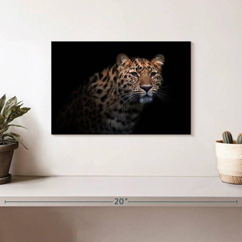 Fierce Amur Leopard, 8" H x 12" W