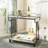 Evelee Metal Bar Cart-33680124