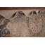 Tapis traditionnel en laine Medallion