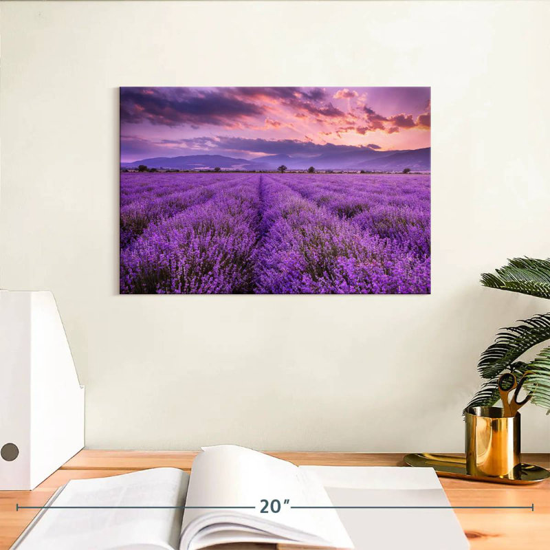 Alvord Lush Lavender Field, 8" H x 12" W