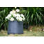 Pot à fleurs Sykes-1244873189