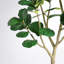 Figuier artificiel 7 pi 7 pi, fausse plante réaliste en pot noir, 1pc / ensemble