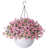 Rose est en rupture de stock