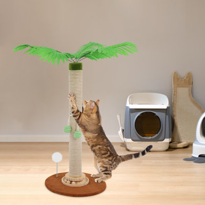 Grattoir à griffer pour chats d'intérieur et chaton Coconut Tree