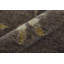 Wool Floral Area Rug in Green/Gold-1109776446