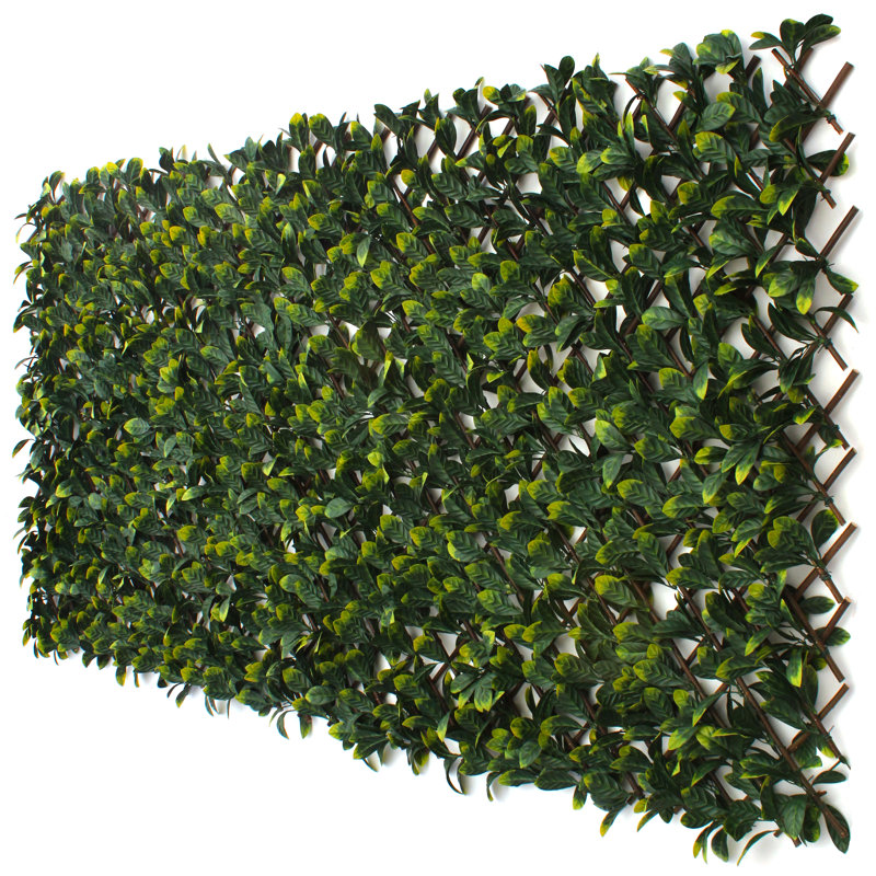 1.6 ft. H x 9 ft. W Bamboo Privacy Screen