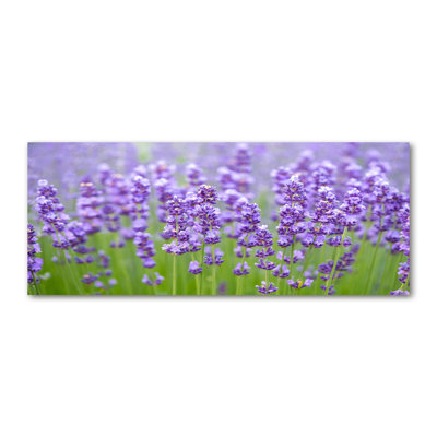 Lavender - No Frame Print on Canvas