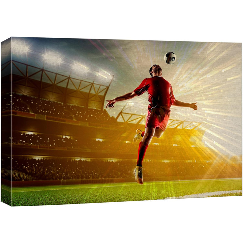 Coucher de soleil ballon de soccer Champion Stadium, H 12 po x l 18 po