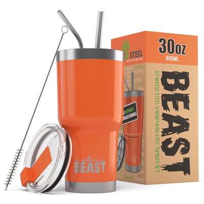 Dyzi 30.0 mL Double Wall Insulated Stainless Steel Travel Tumbler with
