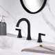 Widespread Bathroom Faucet with Drain Assembly