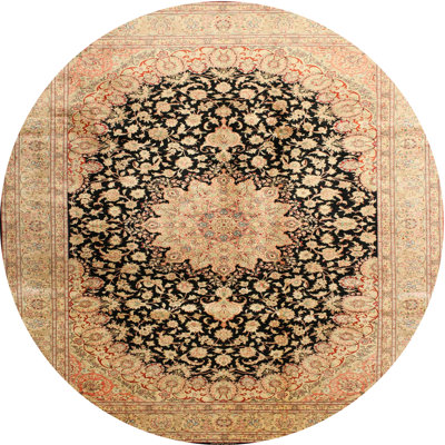 Oriental Indoor Rug