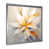 Silver Single Picture Framed