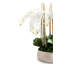 Briar Realtouch Orchid Arrangement