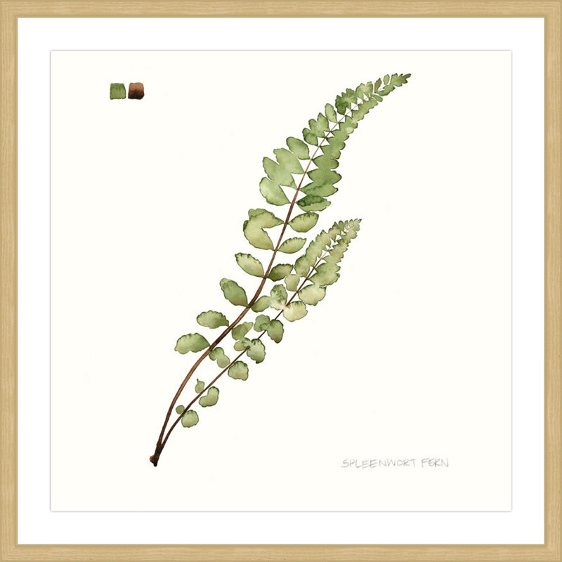 "Leaf Study I" Framed Print, 32" H x 32" W x 1.5" D